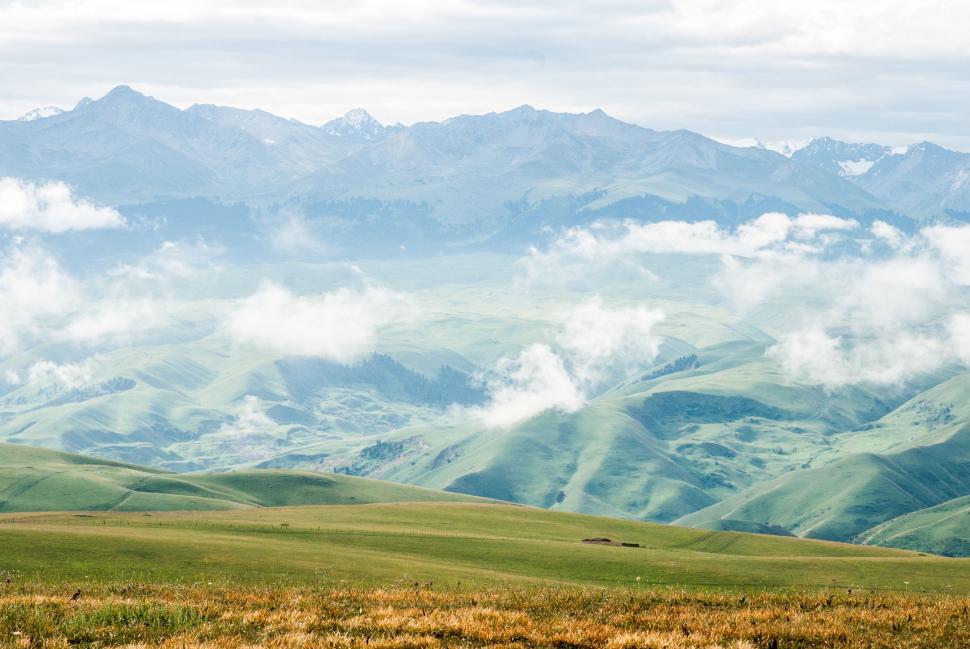 Free Image of Grassy Field With Mountains in Background 