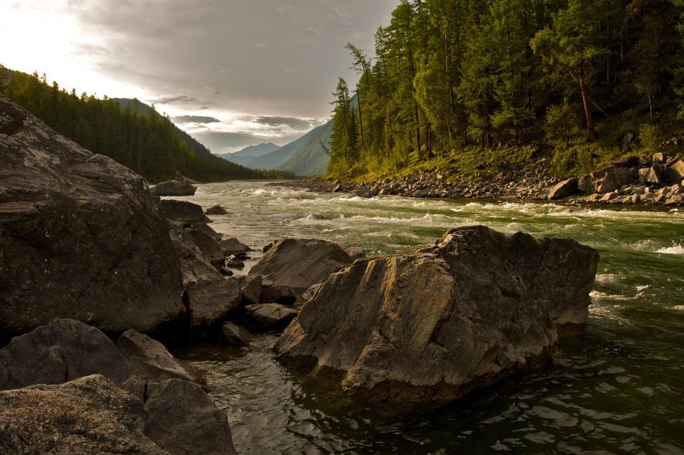 Free Image of River Flowing Through Lush Green Forest 