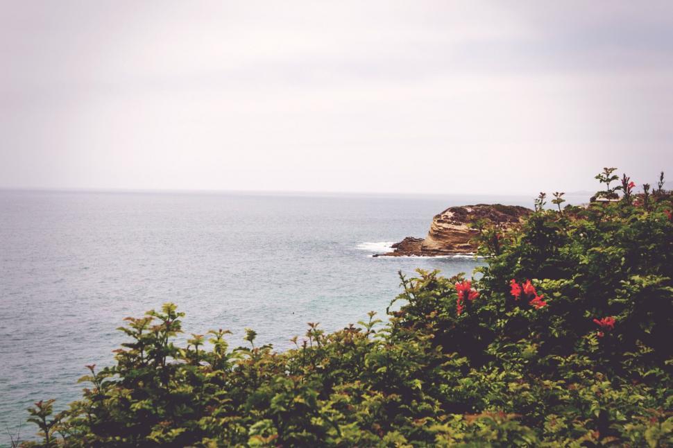Free Image of Bridge Over a Body of Water 