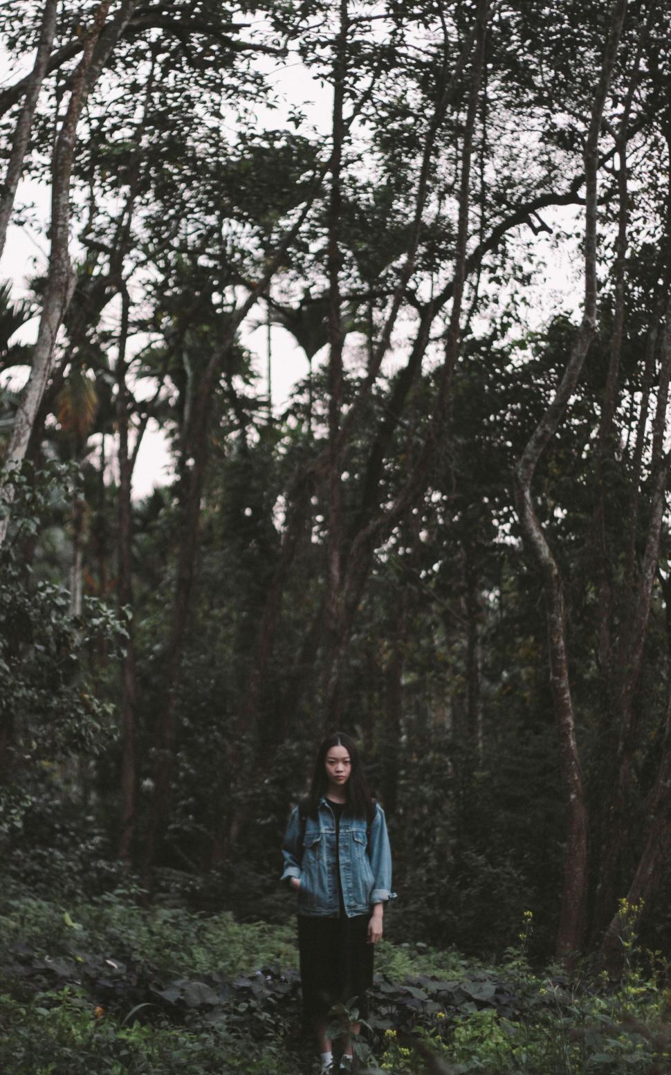 Free Image of Person Standing in the Middle of a Forest 