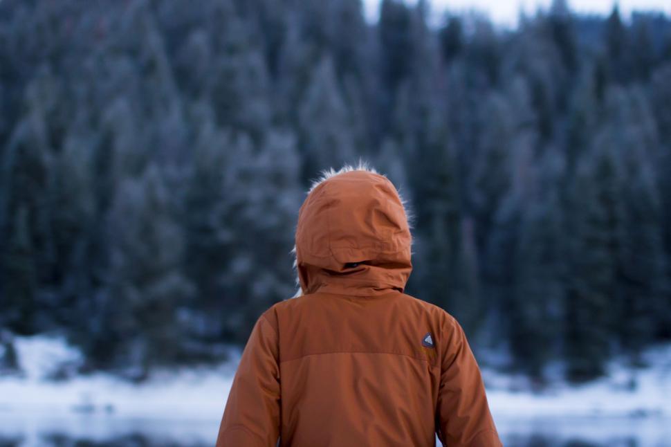 Free Image of Person in Brown Jacket Walking in Snow 