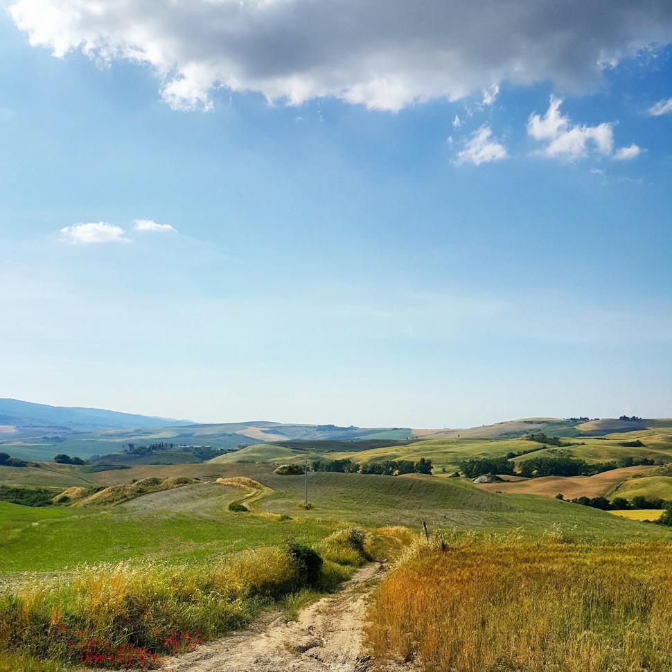 Free Image of Dirt Road Cutting Through Lush Green Field 