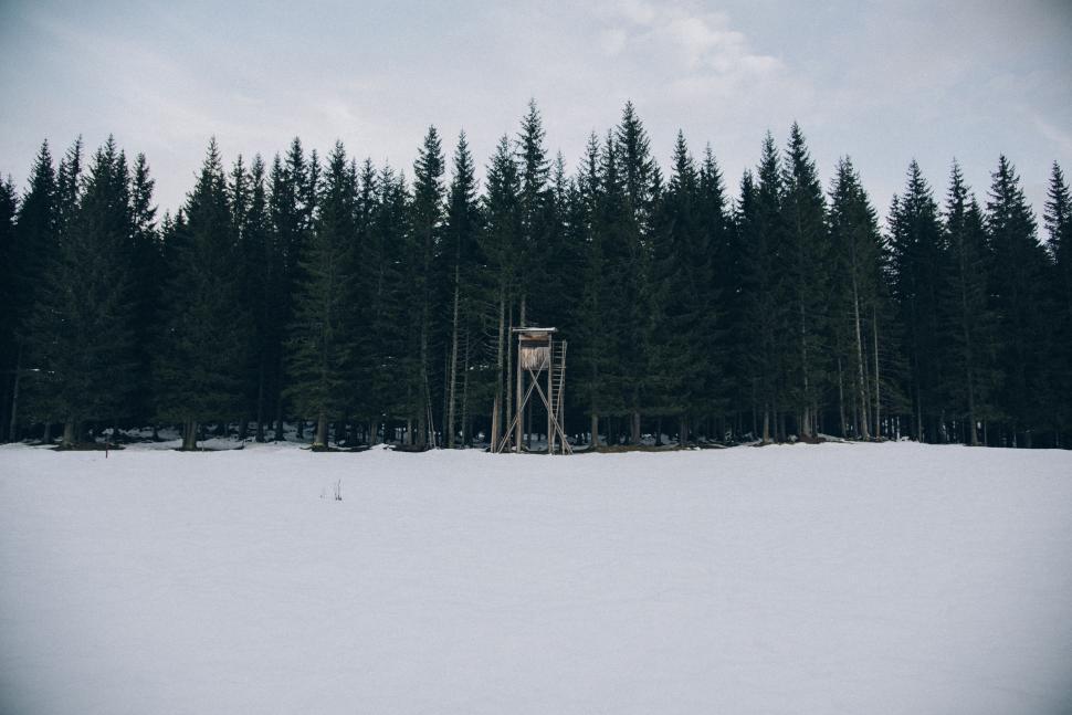 Free Image of Snow Covered Field With Trees in Background 