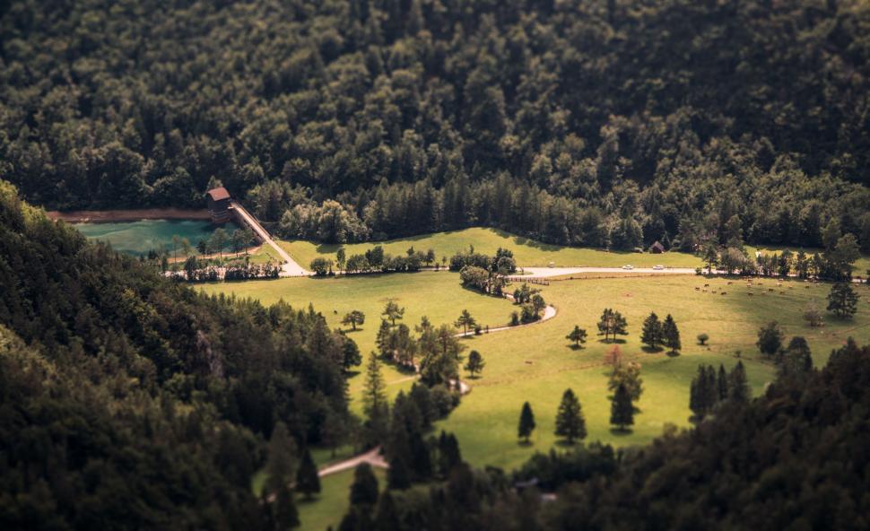 Free Image of Aerial View of a Lush Green Forest 