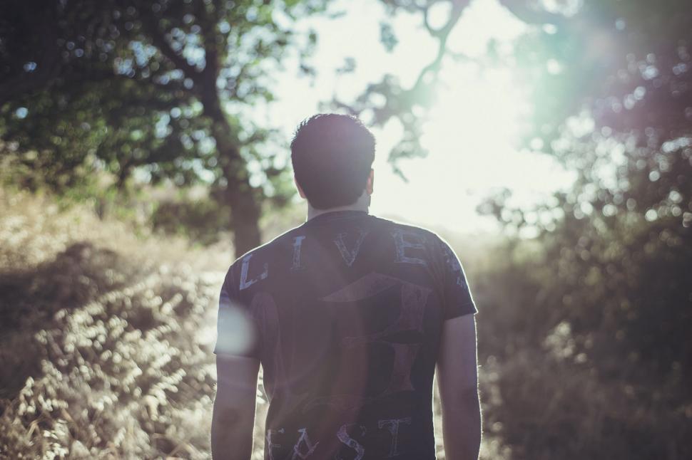 Free Image of Man Walking Down a Path in the Woods 
