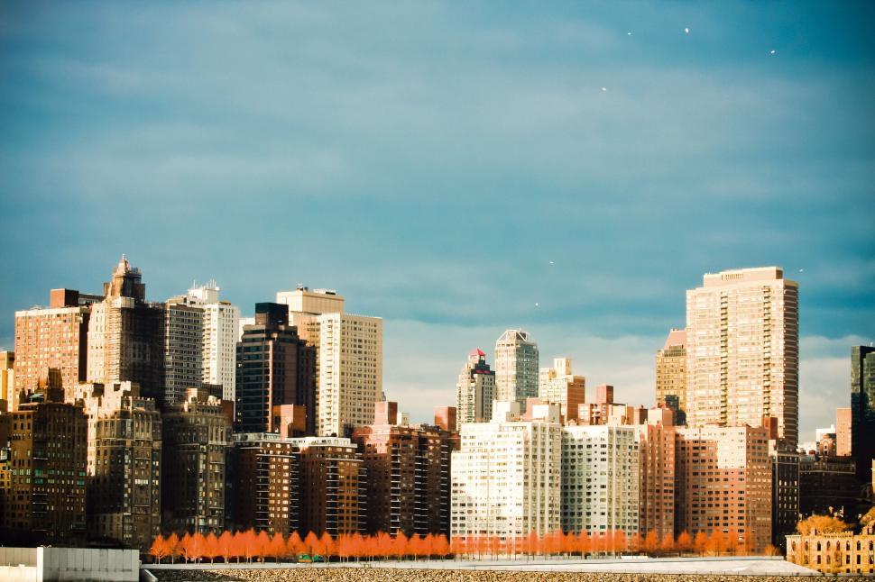 Free Image of Urban Skyline With Tall Buildings 