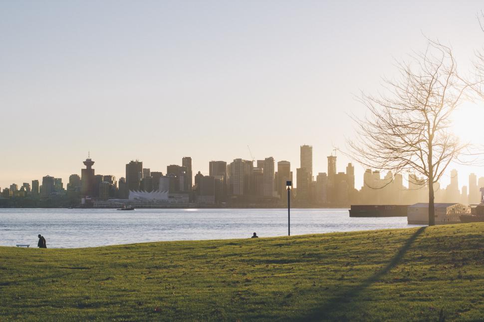 Free Image of City Skyline View From Park 