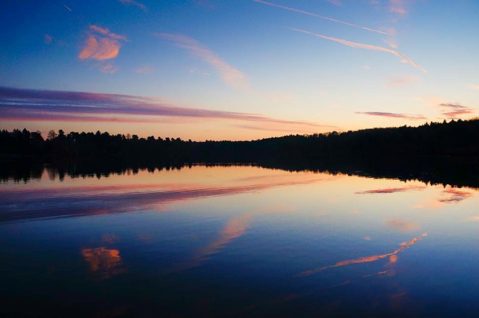 Free Image of Large Body of Water Surrounded by Forest 