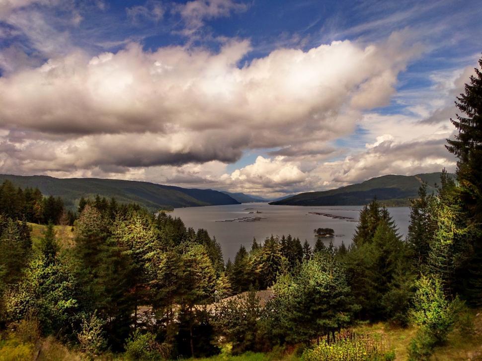 Free Image of Scenic View of a Lake Surrounded by Trees 
