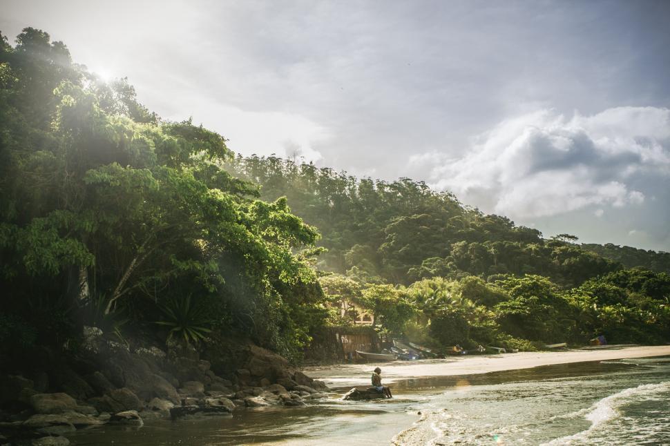 Free Images : rock, water, vacation, countryside, hill, forrest, plant,  green, natural landscape, fluvial landforms of streams, tree, watercourse,  riparian zone, groundcover, sky, mountain river, arroyo, bedrock, jungle,  creek, valley, temperate broadleaf