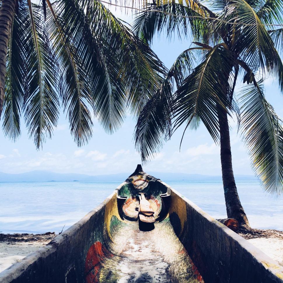 Free Image of Boat on Sandy Beach Under Palm Tree 