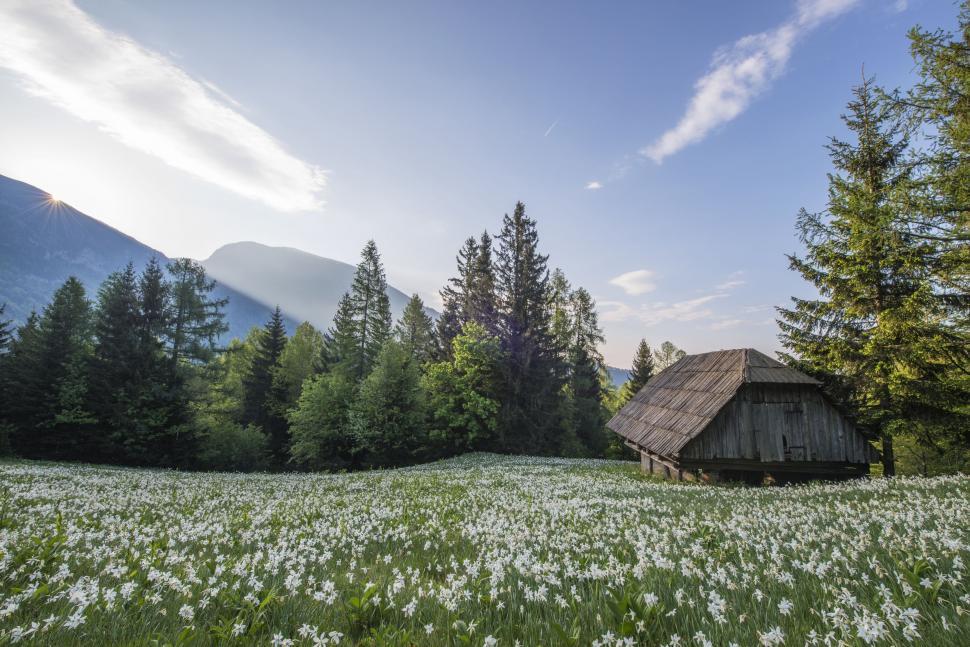 Free Image of House in the Middle of a Field 