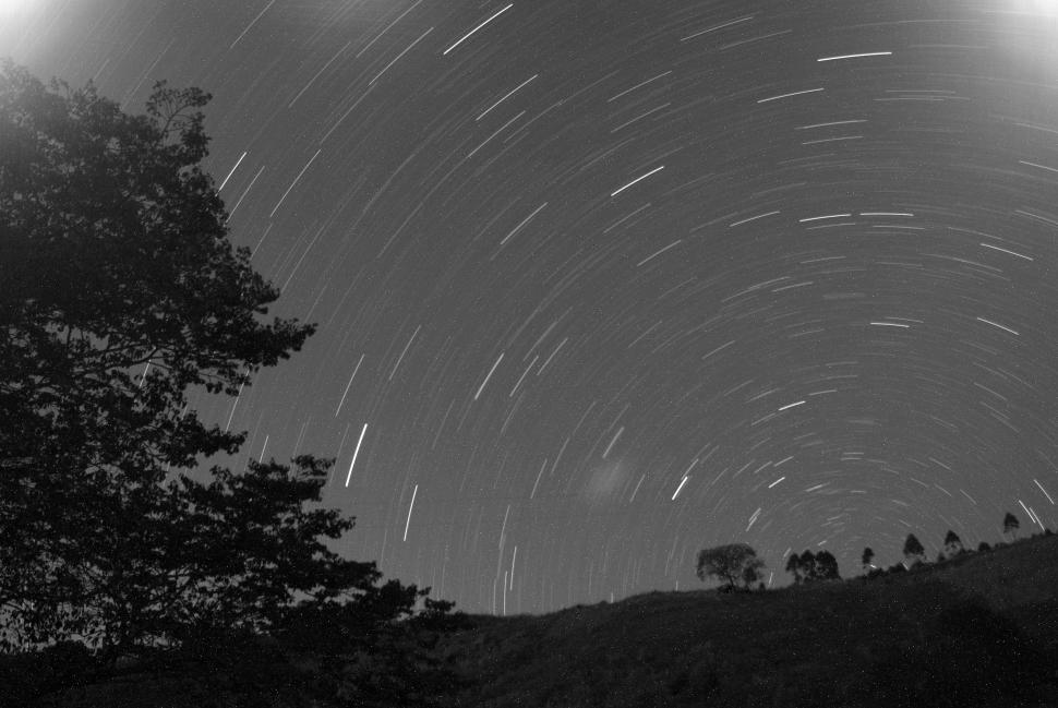 Free Image of Night Sky With Stars and Trees 