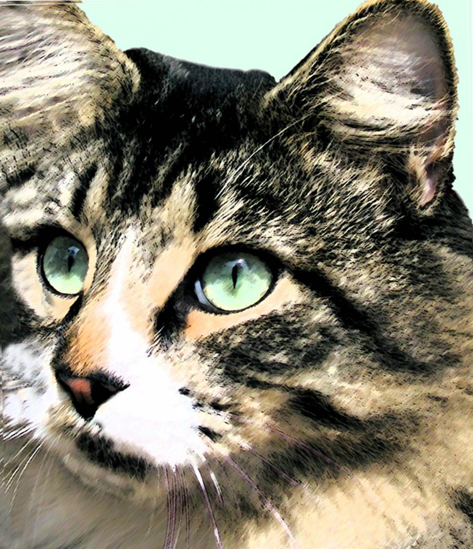 Free Image of EYES 