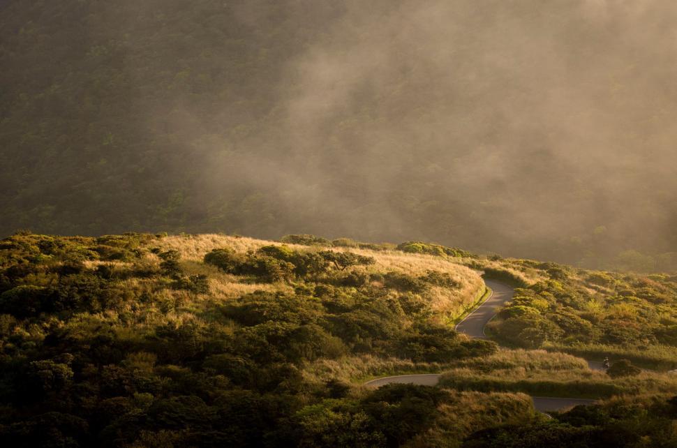 Free Image of Grassy Hill With Stream 