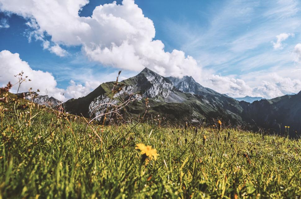 Free Image of Grassy Field With Mountains in the Background 