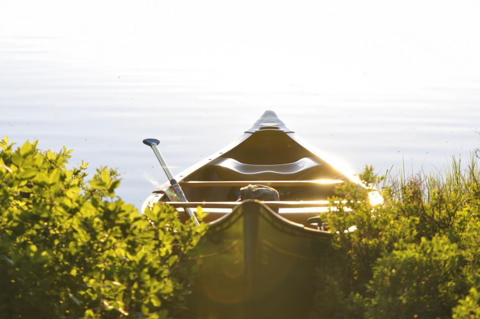 Free Image of Boat Sitting in Water Surrounded by Bushes 