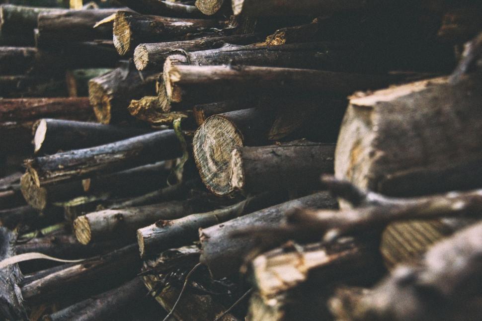 Free Image of Pile of Logs Arranged Neatly 