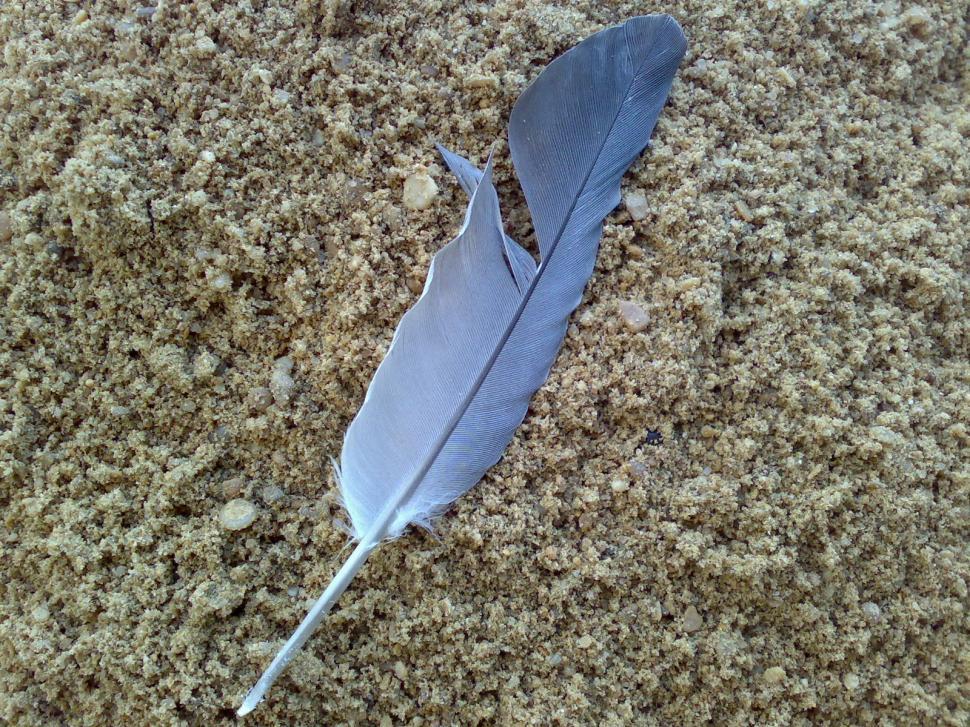 Free Image of Alone In Sand 
