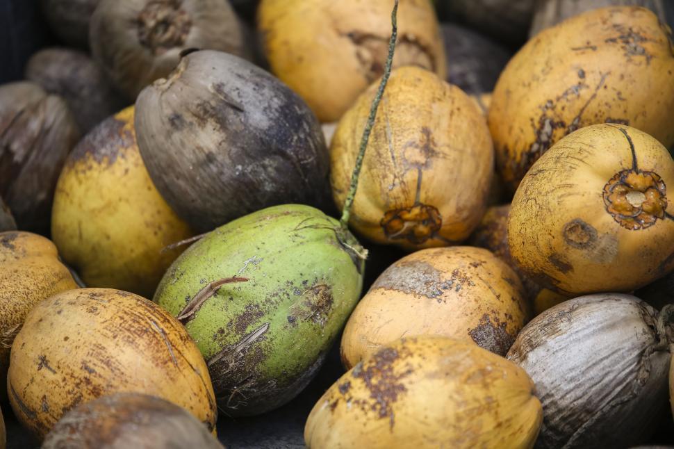 Free Image of Stack of Coconuts Sitting on Top of Each Other 