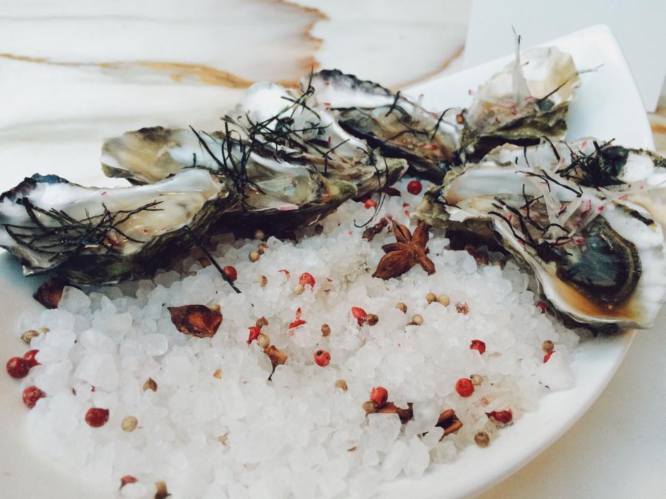Free Image of White Plate With Oysters and Rice 