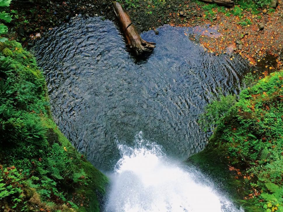 Free Image of River Flowing Through Lush Green Forest 