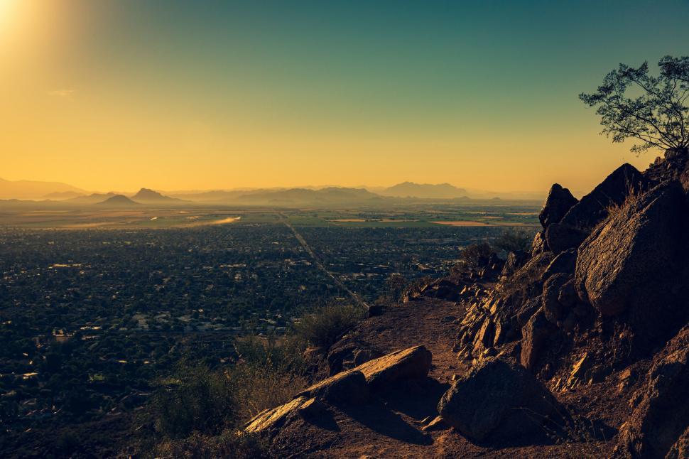 Free Image of Lone Tree Standing on Rocky Hilltop 