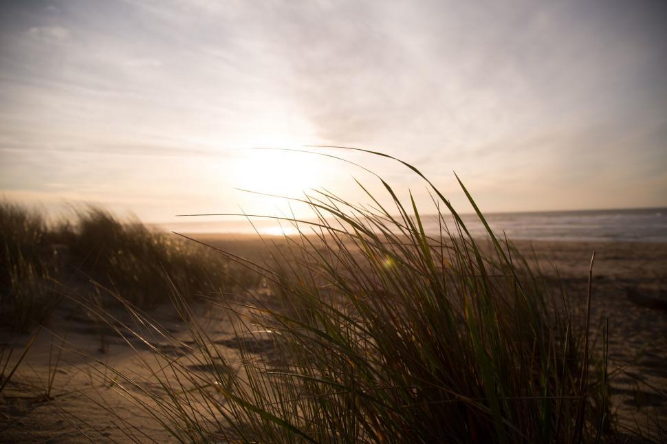 Free Image of Sun Shining Through Clouds Over Beach 