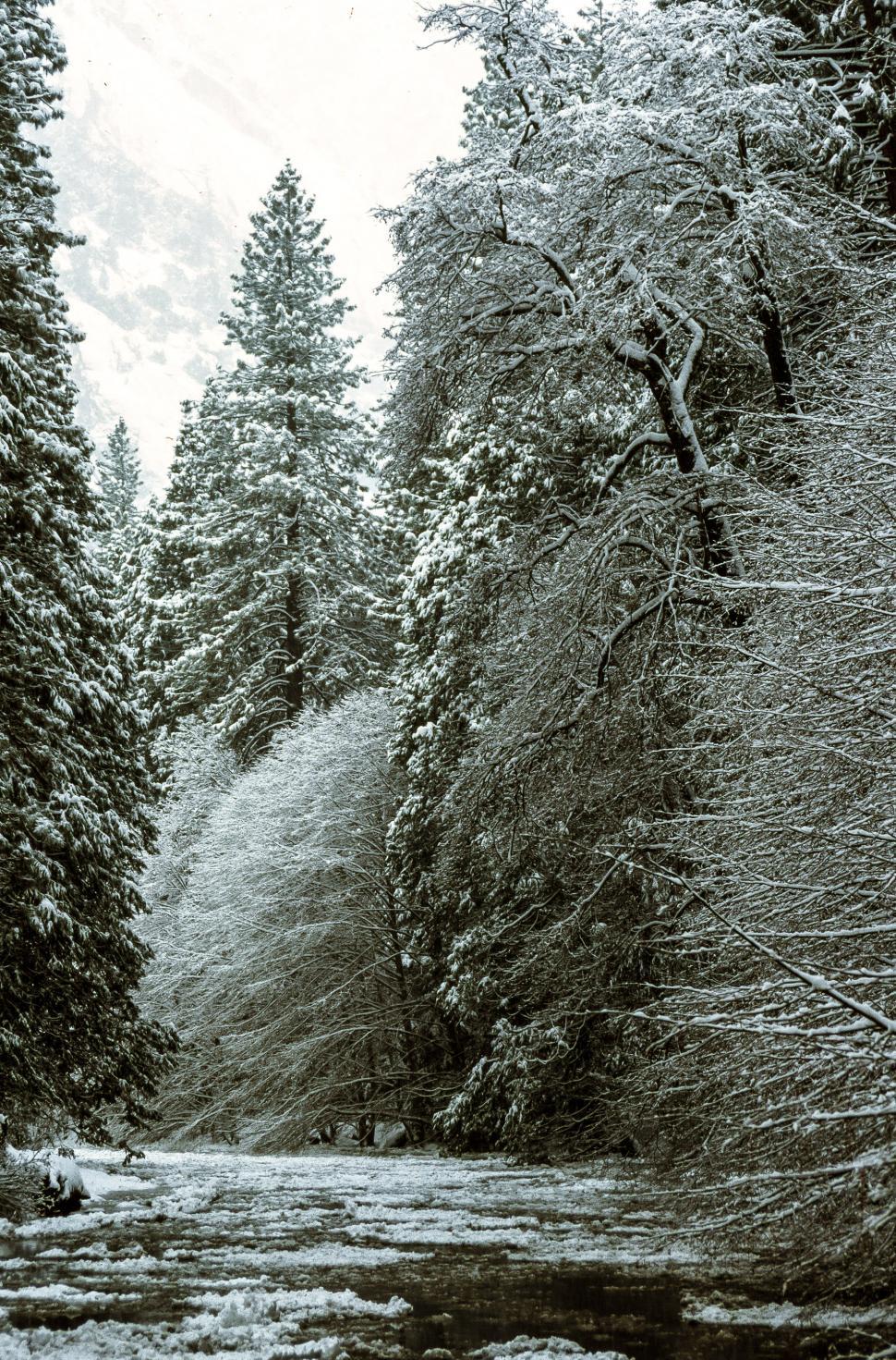 Free Image of Gates of the Valley, also known as Valley View 