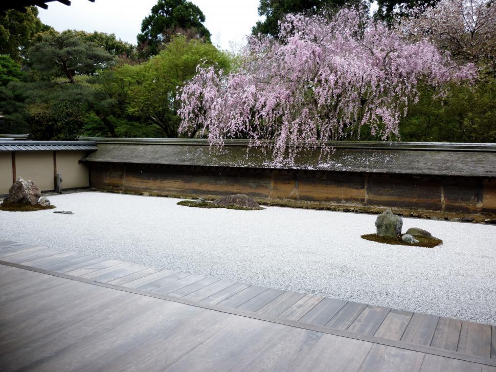Free Image of Japanese Garden With Rocks and Trees 