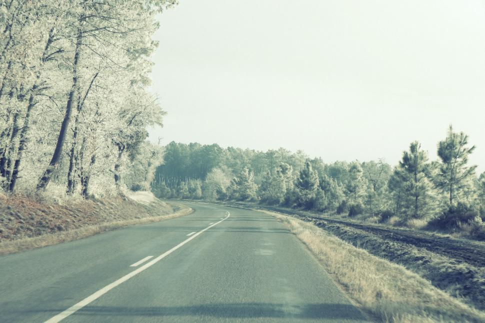 Free Image of Car Driving Down Road Next to Forest 