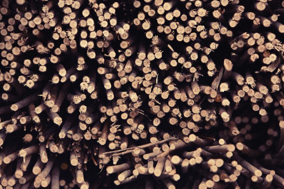 Free Image of Large Pile of Logs Stacked Together 