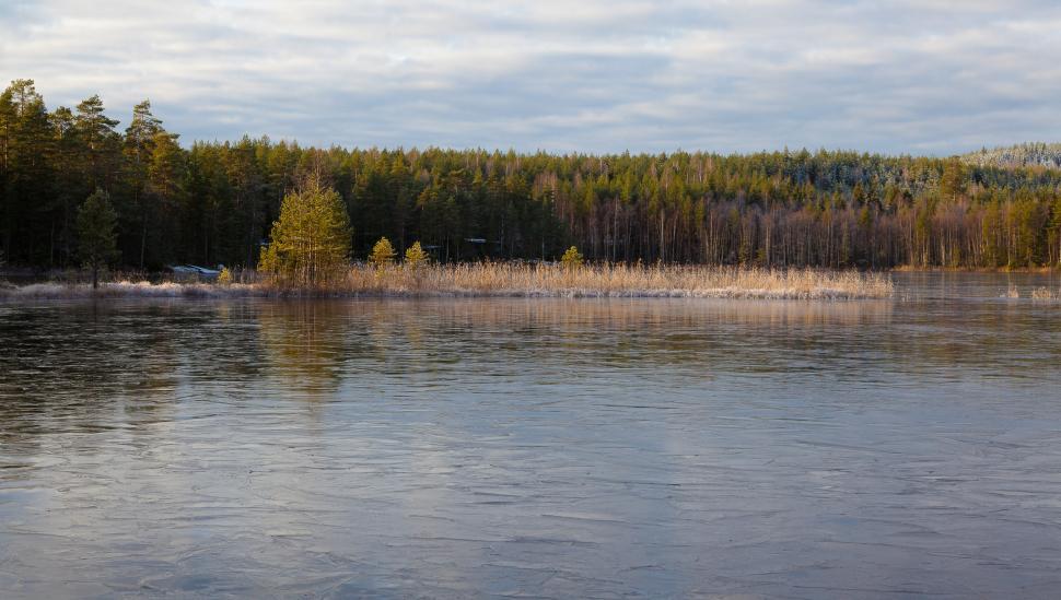 Free Image of Large Body of Water Surrounded by Trees 
