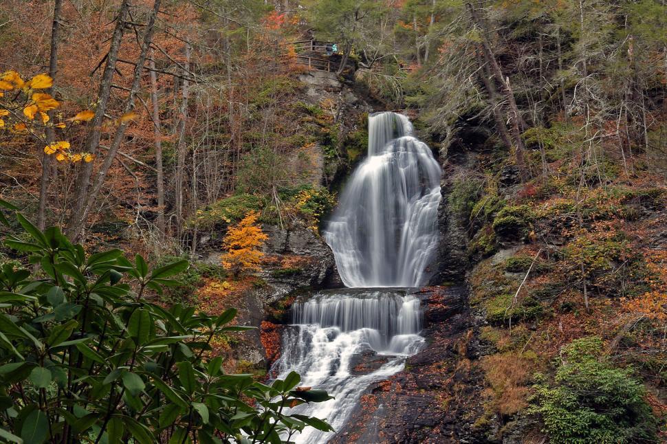 are dogs allowed at dingmans falls