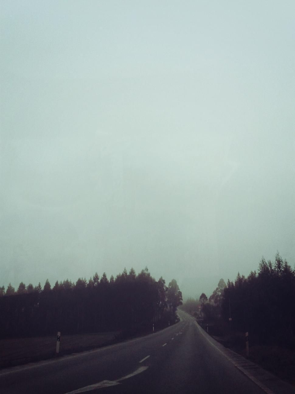 Free Image of Road and Trees in Black and White 