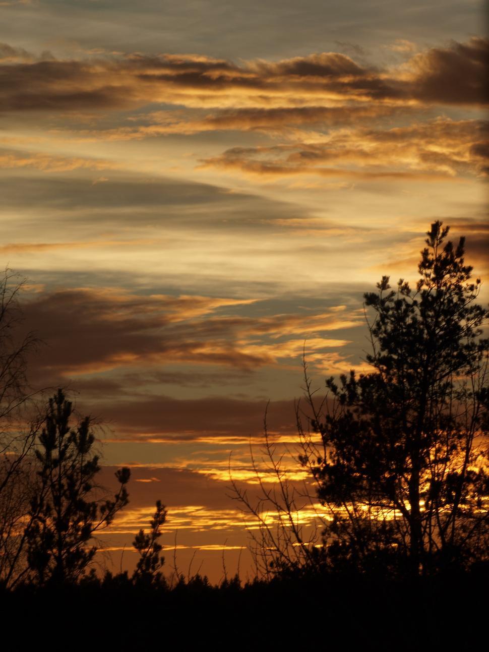 Free Image of Sunset sky 