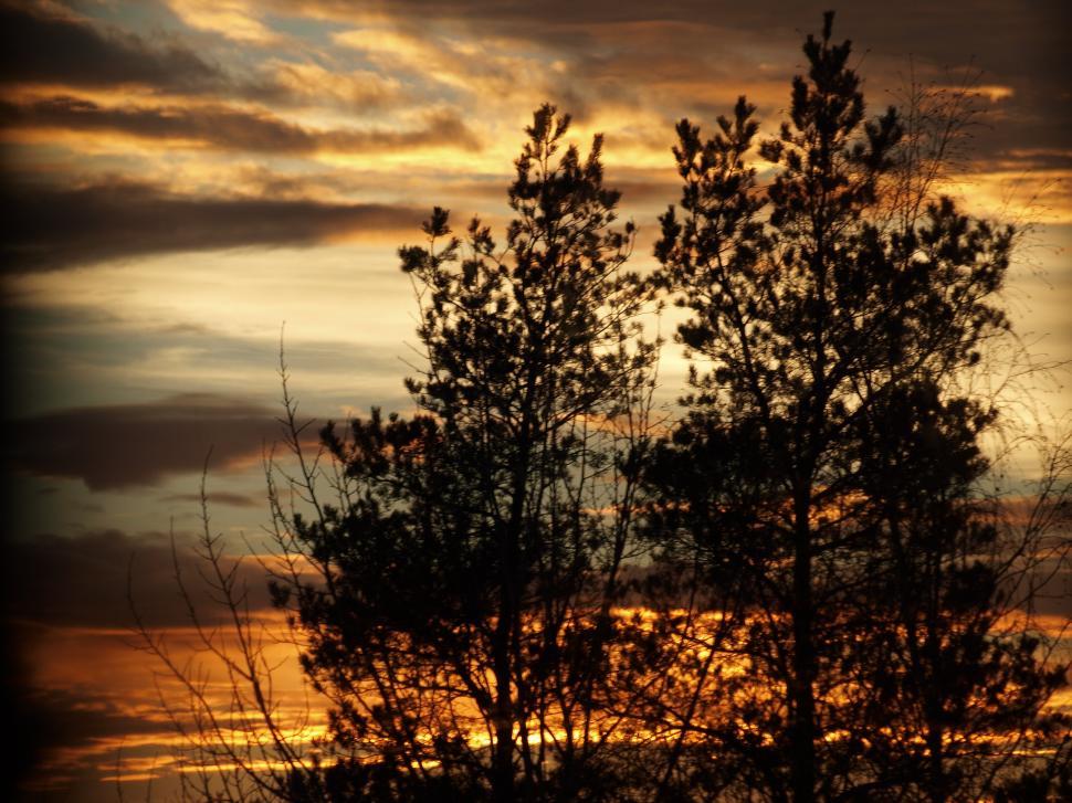 Free Image of Orange Evening Sunset  