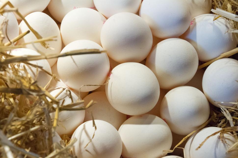 Easter Eggs on Straw Free Stock Photo