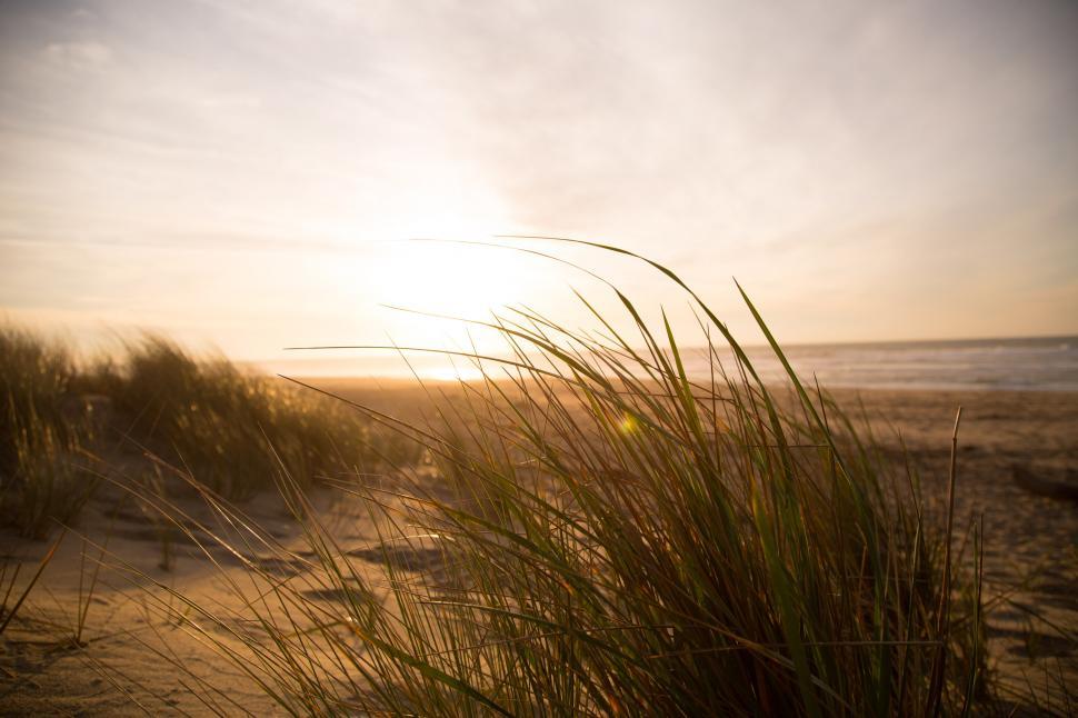 Free Image of Sun Shines Through Clouds Over Sand Dunes 
