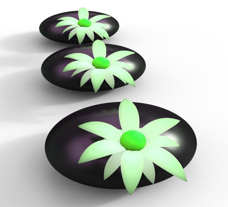 Free Image of Spa Stones Means Peace Spirituality And Bloom 