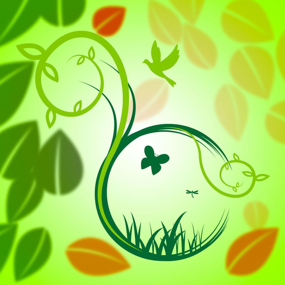 Free Image of Nature Butterflies Means Birds In Flight And Animal 