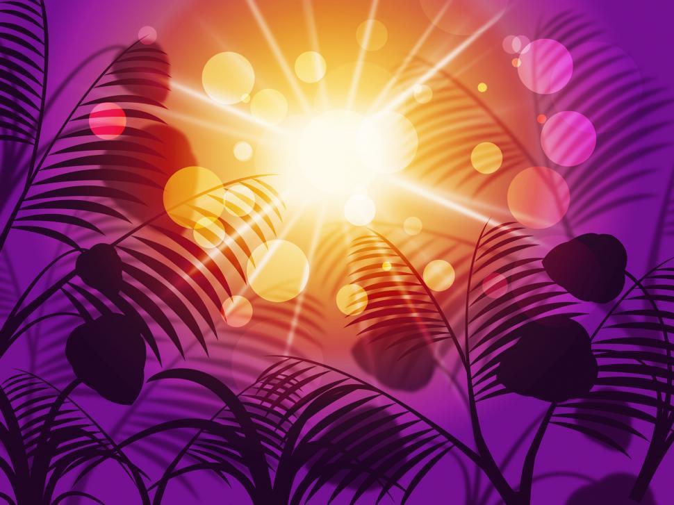 Free Image of Leaves Sun Means Outdoor Template And Environment 