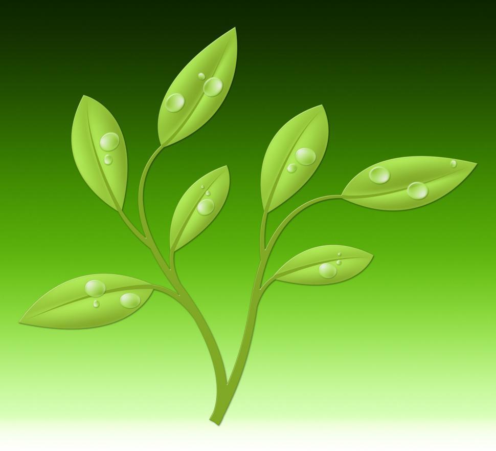 Free Image of Eco Friendly Means Go Green And Countryside 