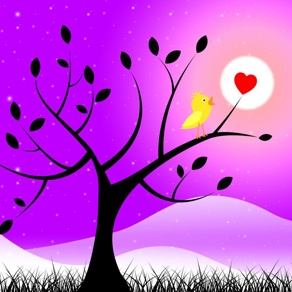 Free Image of Birds Nature Means Valentine Day And Affection 