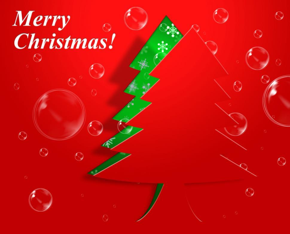 Free Stock Photo of Xmas Tree Means Christmas Holiday And Winter