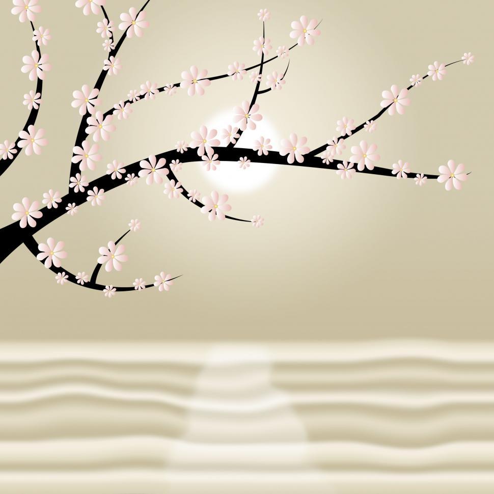 Free Image of Blossoms Floral Indicates Tree Trunk And Nature 