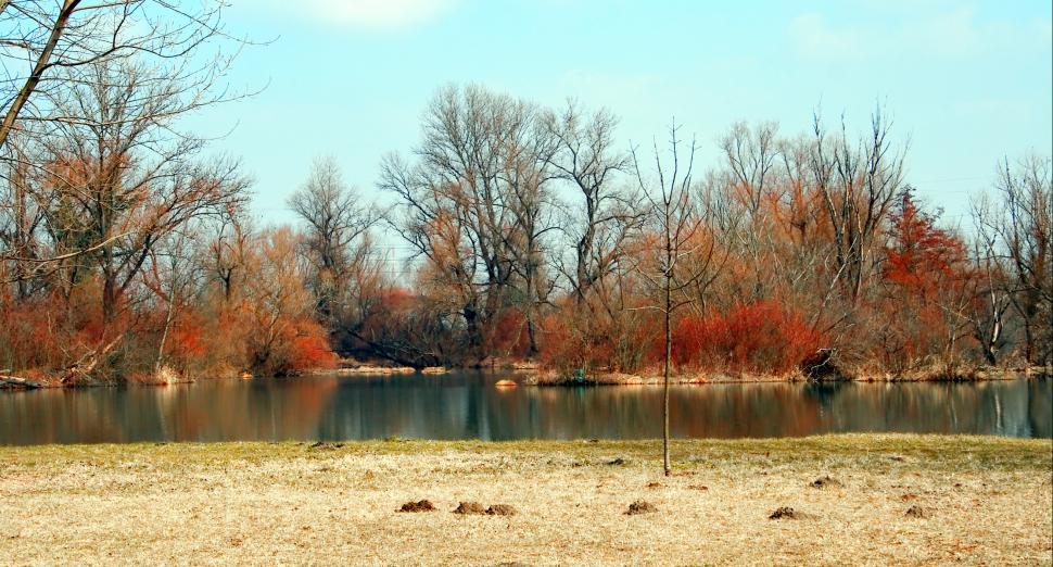 Free Image of The lake 