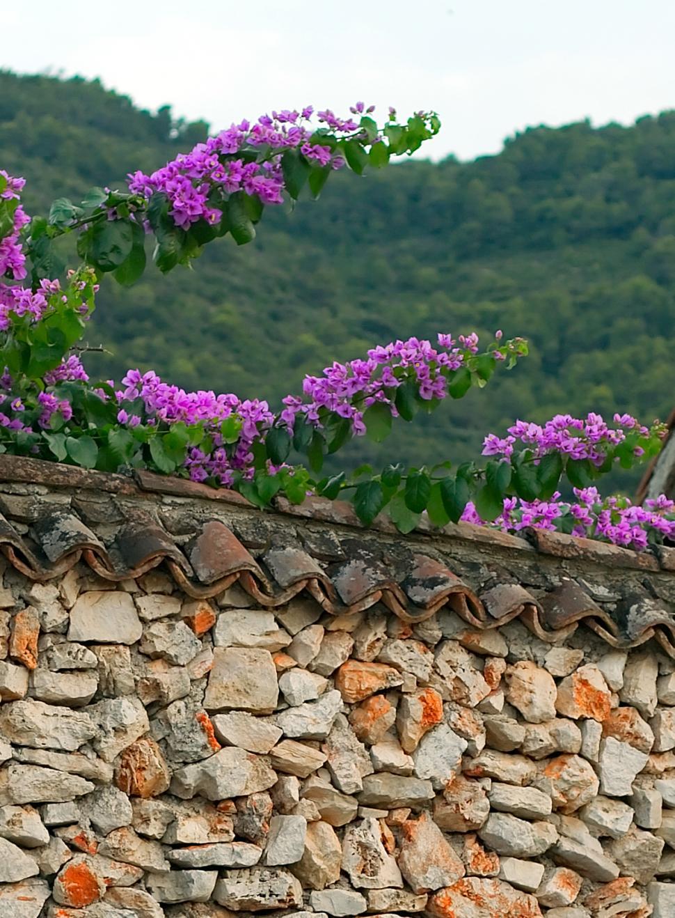 Free Image of The wall 