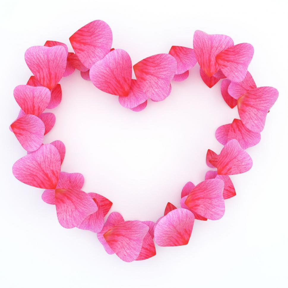 Free Image of Petals Rose Shows Blank Space And Bloom 