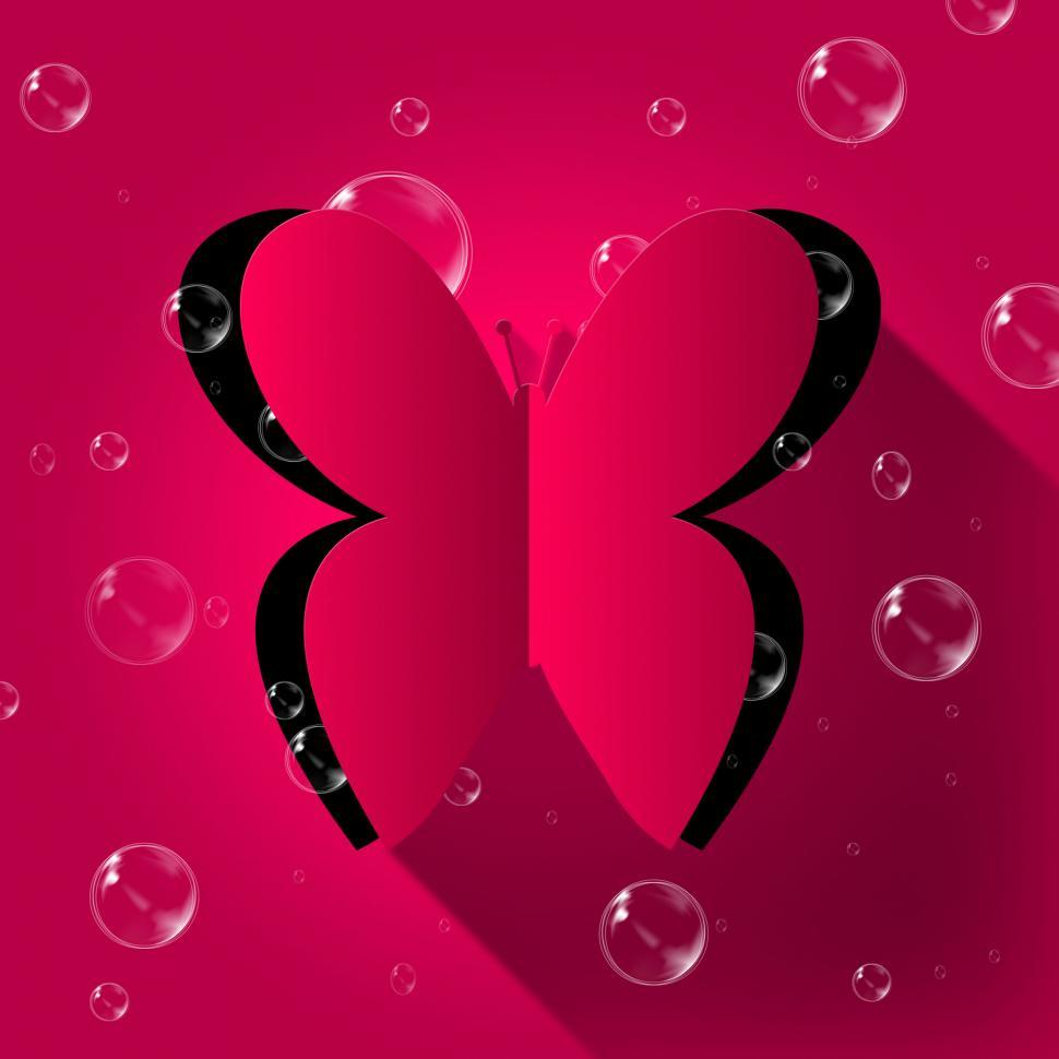 Free Image of Butterflies Nature Shows Rural Countryside And Environment 